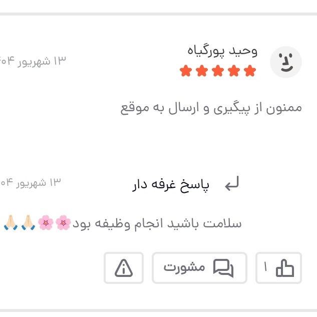 اسکراپ شنی شیر الاغ،برند وکالی،پاکسازی جوش و لک 3