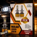 هدلایت هدلایت تیکار مدل MOLAR 2026 پایه H7 نور قدرتمند 20000 لومن